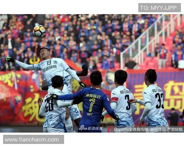 杭州网球队逆袭之路：从挑战到崛起的精彩解读